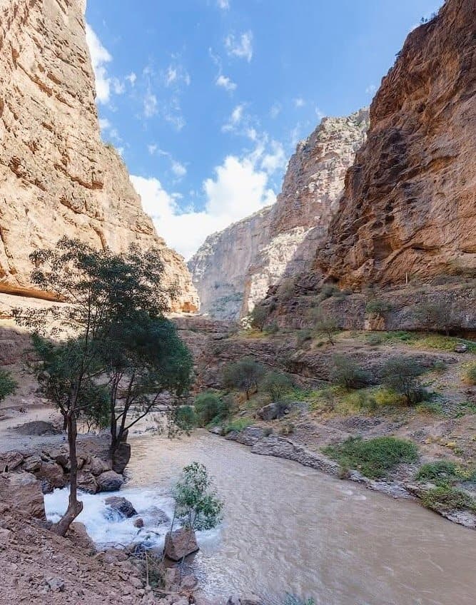 Ekspeditsiyalar — Trekking.uz safaridan