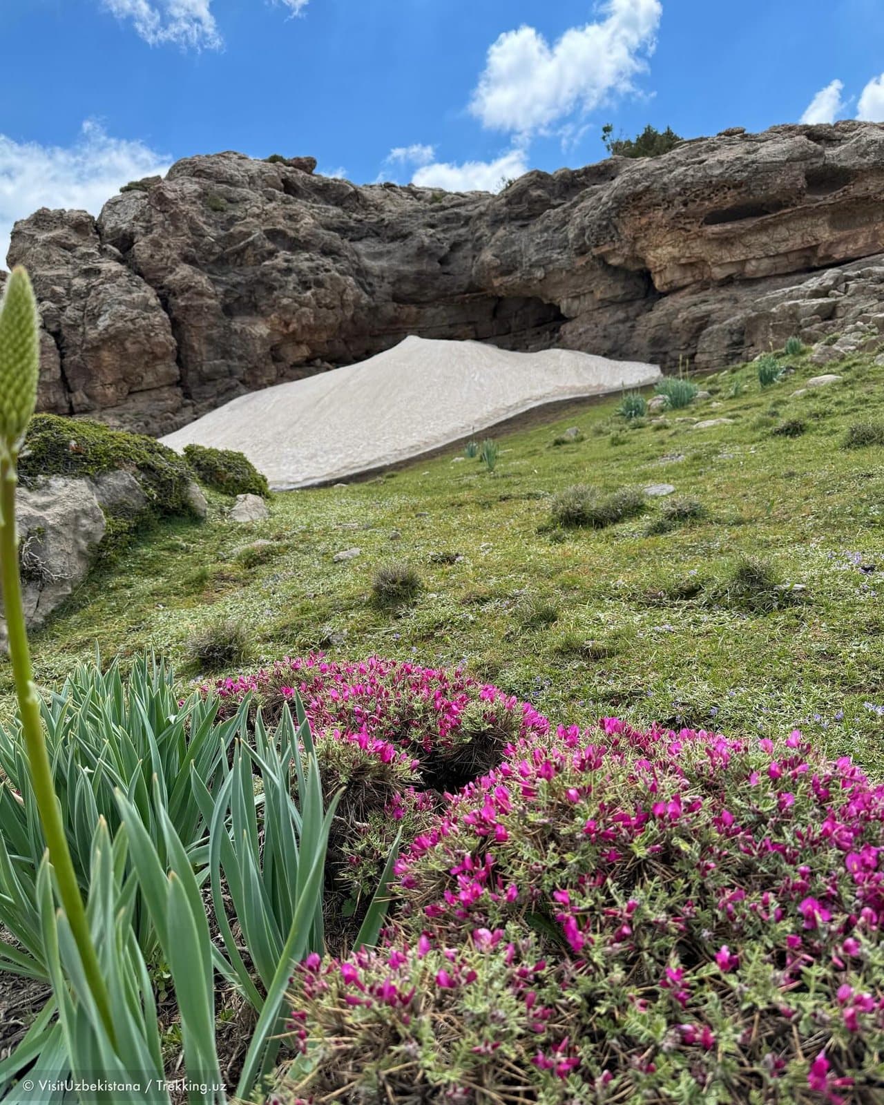 Ekspeditsiyalar — Trekking.uz safaridan