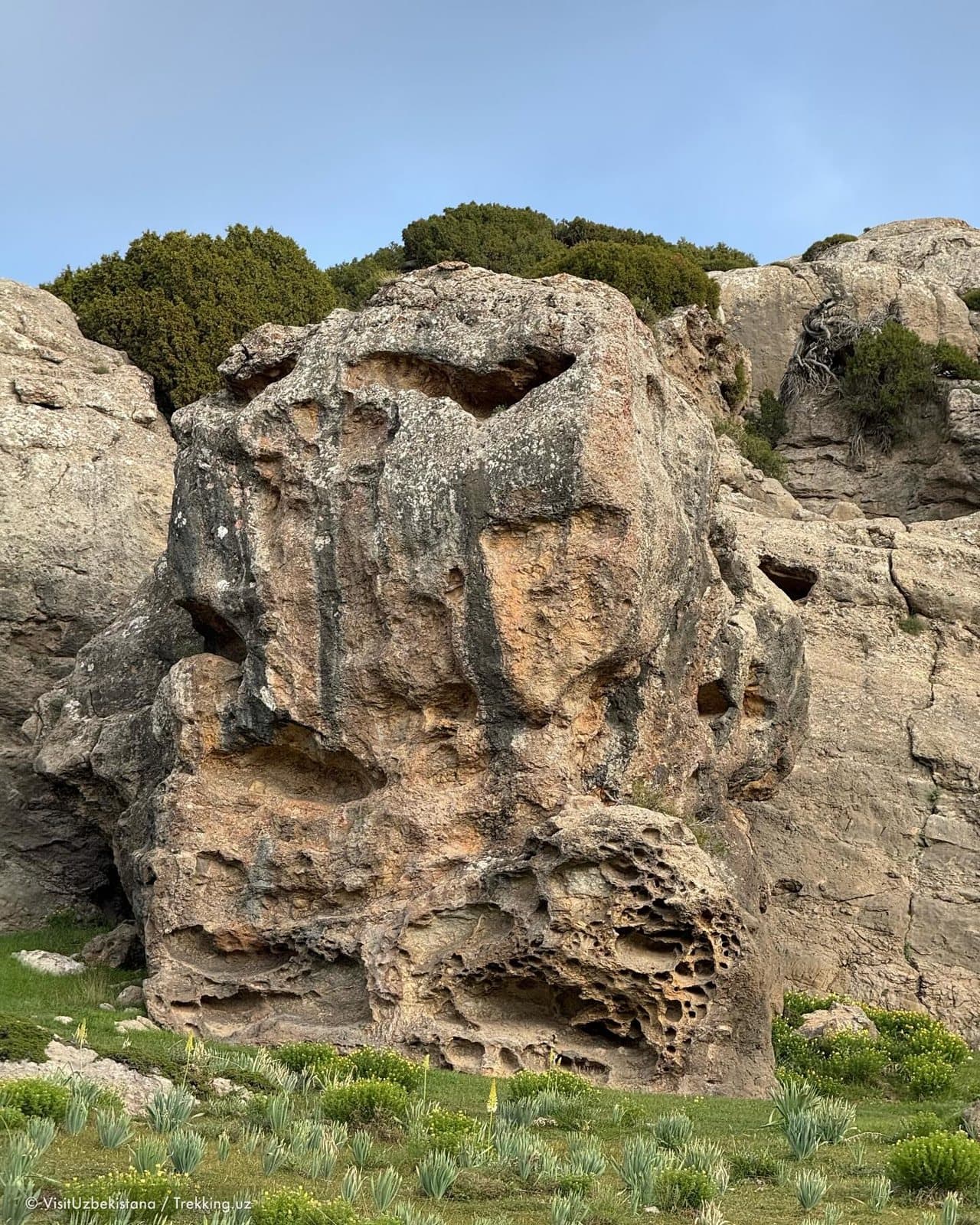 Ekspeditsiyalar — Trekking.uz safaridan