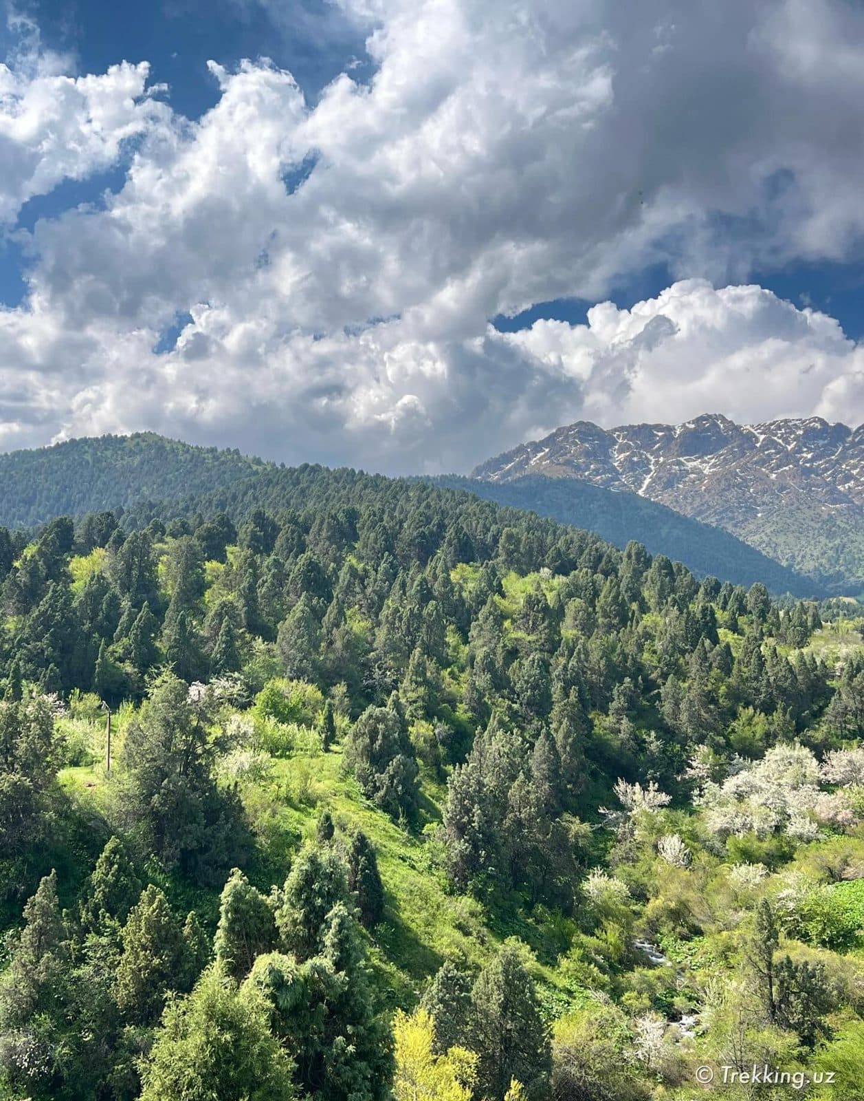 Trekking.uz safaridan lavha
