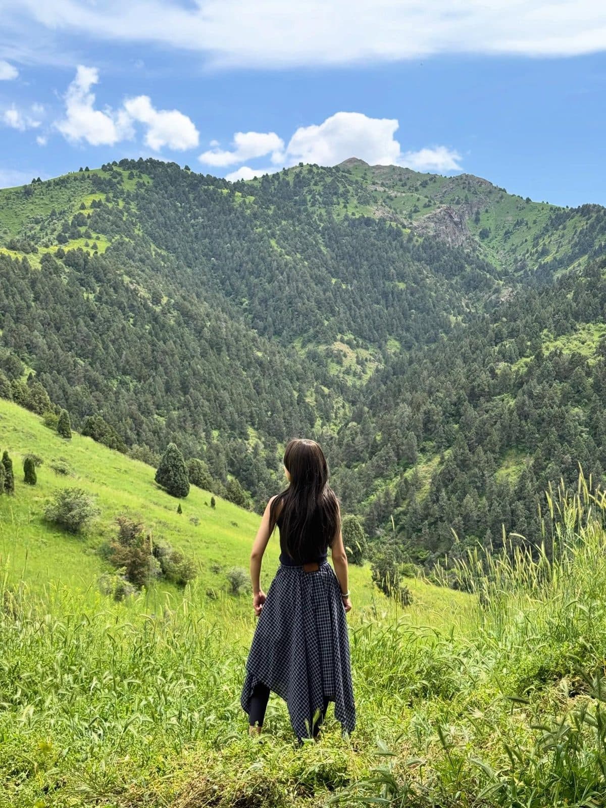Sinera o'rmonlari — O'zbekiston Alpi