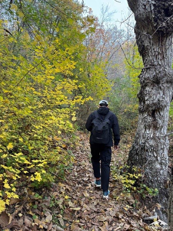 Barcha kuzgi manzillarda gavjum sayyohlar oqimi, biz izlagan manzillarda esa — sokinlik va yovvoyi tabiat mujassam