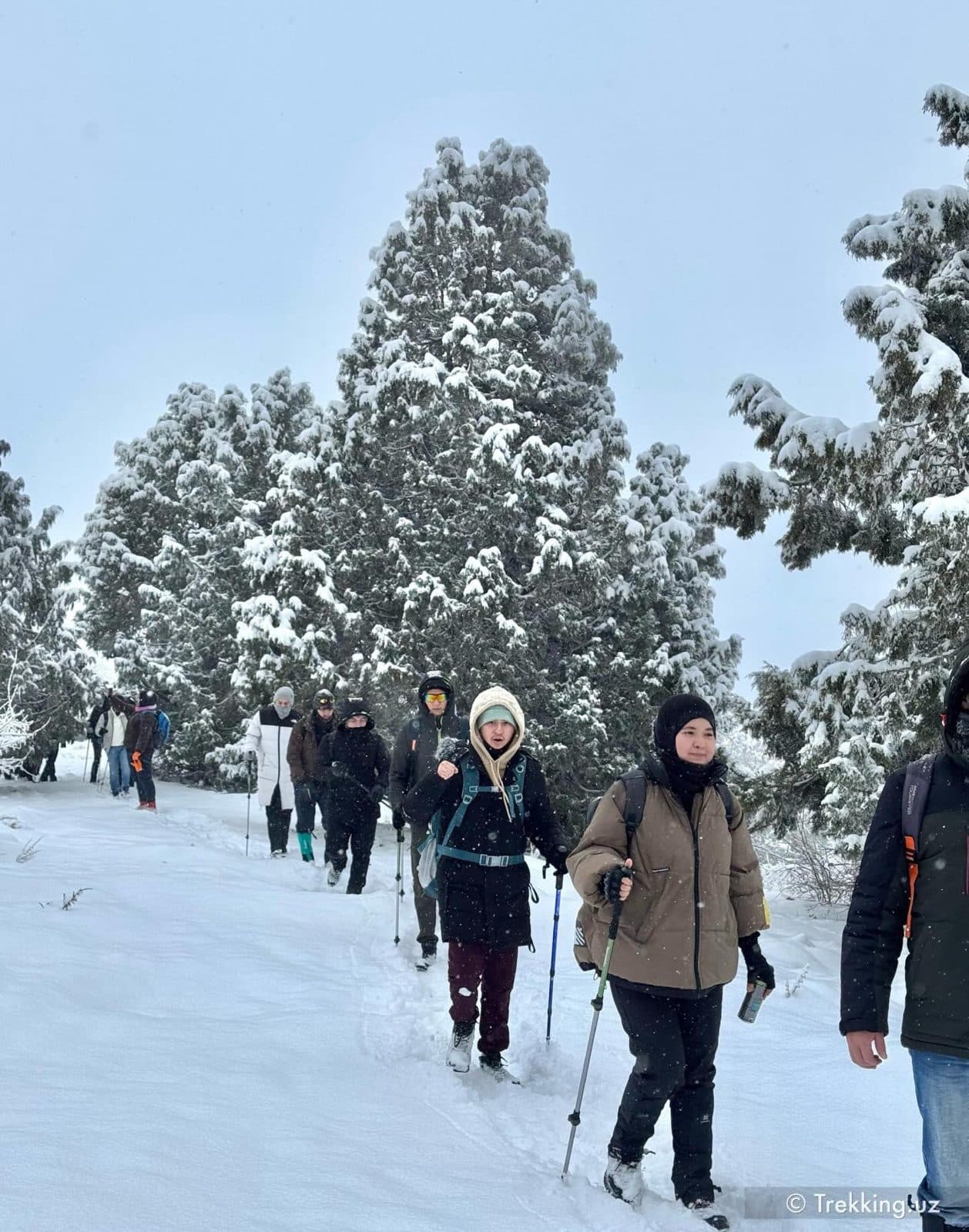 Trekking.uz safaridan lavha